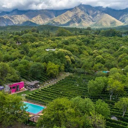 Araoz De Lamadrid Hotel&Bodega Сан-Хавьер Экстерьер фото